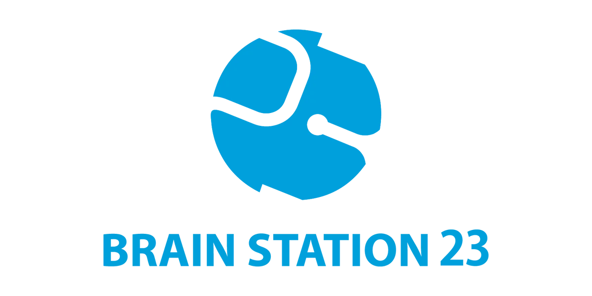 Brain Station 23 Inc